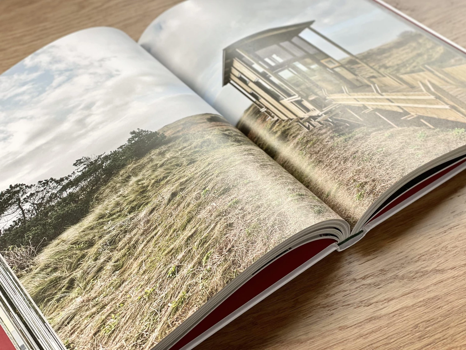 Book At Manic Hide And Seek Book & Stationery 2 Book At Manic Hide And Seek Book & Stationery